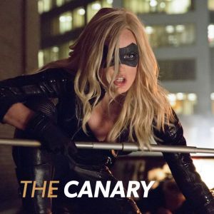 Arrow Canary
