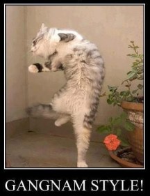 cdb29e54ce39a522d12a885556926a3b