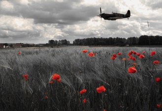 spitfire_poppy_fields_by_stephenjohnsmith-d8vyicj